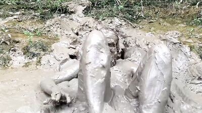 Closer, Muddier