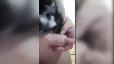 Penis Enlargement Proof with Evidence Full Video