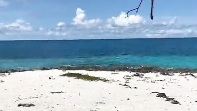 The island