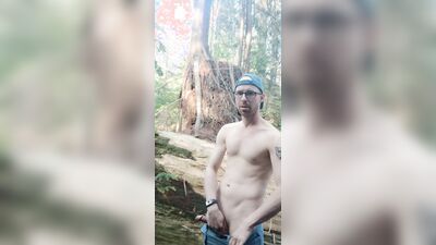 Forest Cum Fun
