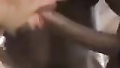 Black Balled 5