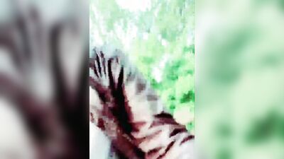 Horny man smokes a cigar and strokes that cock in the woods