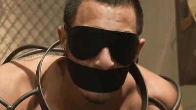 Rico Romero and Trenton Ducati humiliate a naked xvideos babe in kinky bondage