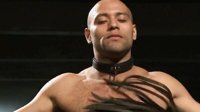 Watch Leo, Hayden, Van, and their hairy twinks take on a cocksucker in a BDSM gangbang